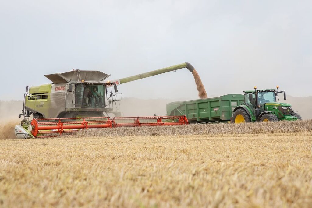 Durum Wheat