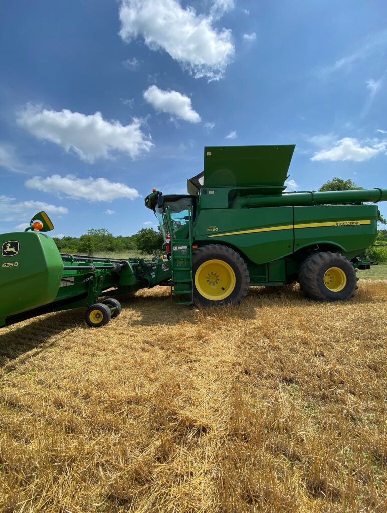 Durum Wheat