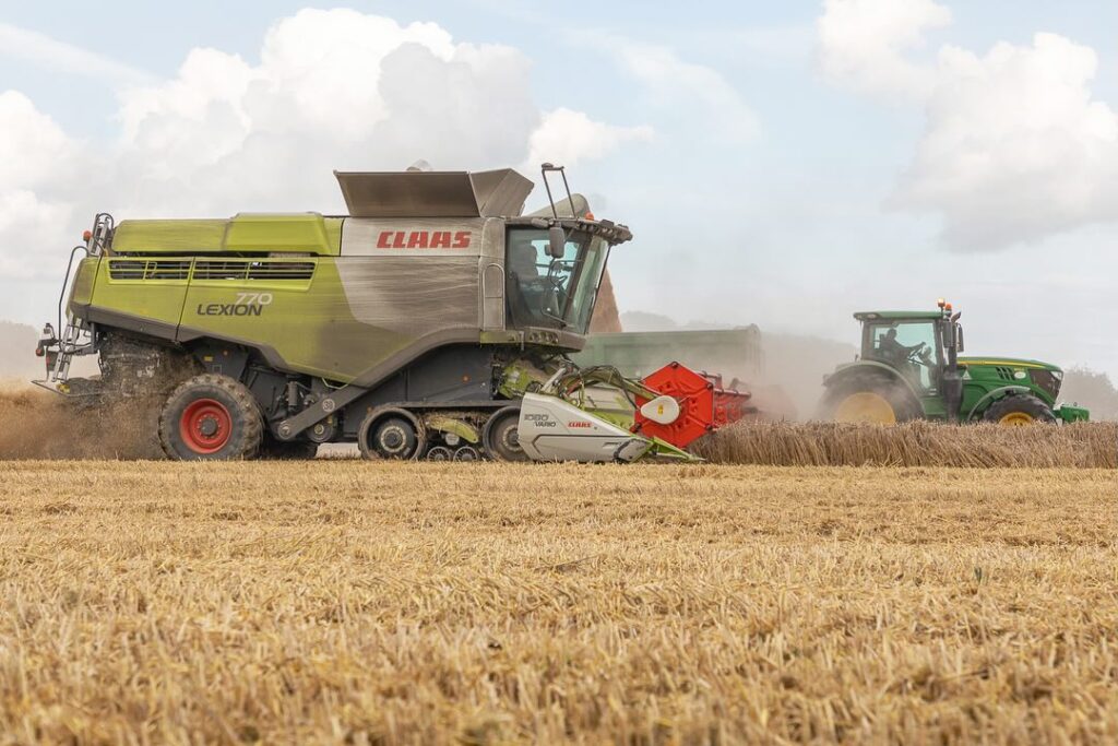Durum Wheat