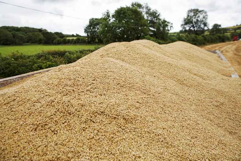 russian wheat exporters