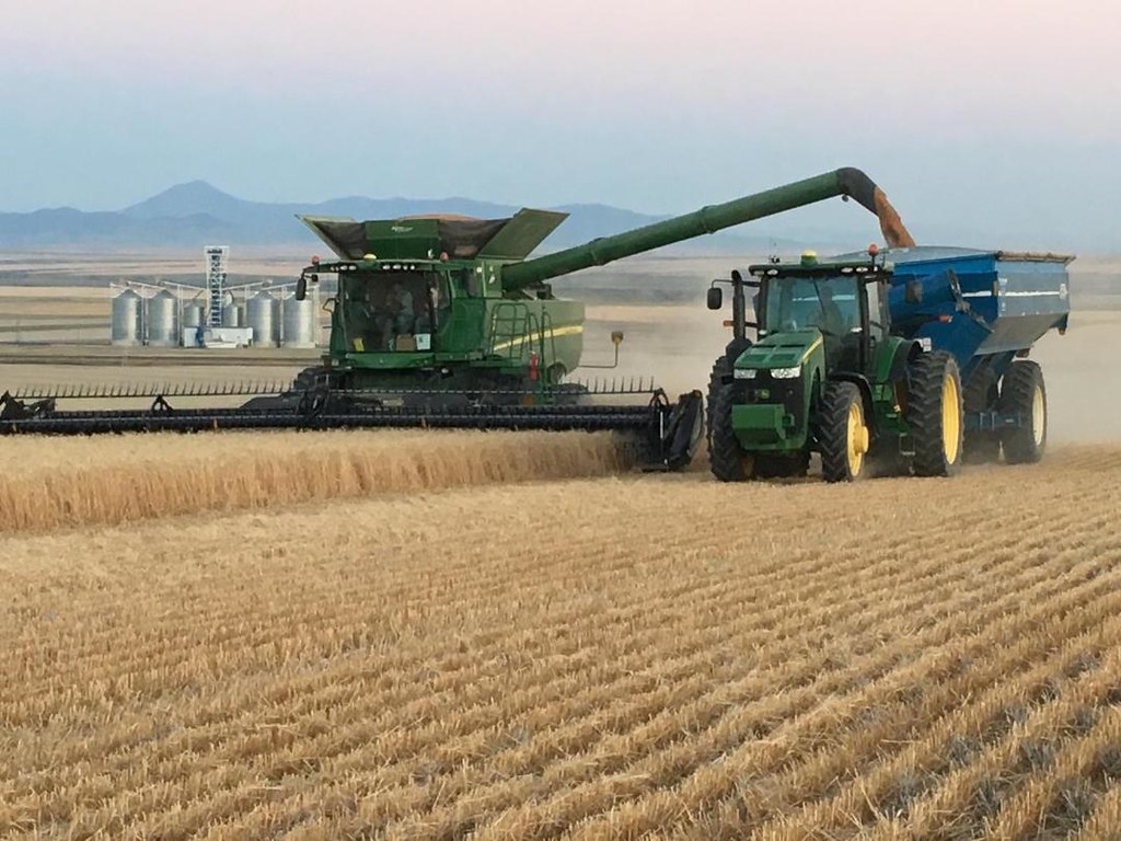 russian wheat exporters