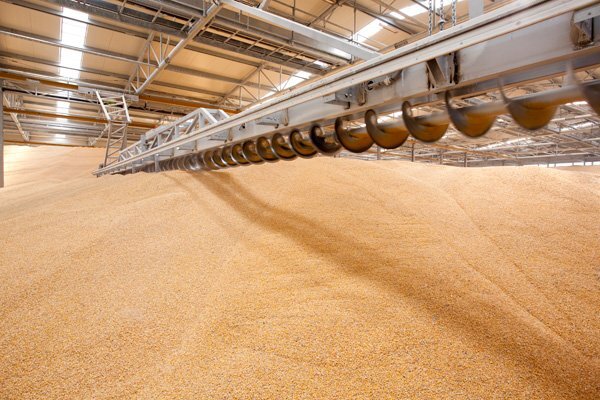 russian wheat suppliers