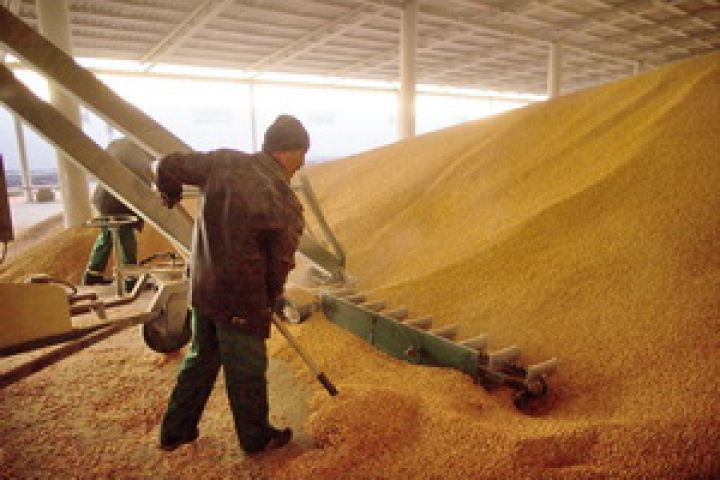 russian wheat suppliers